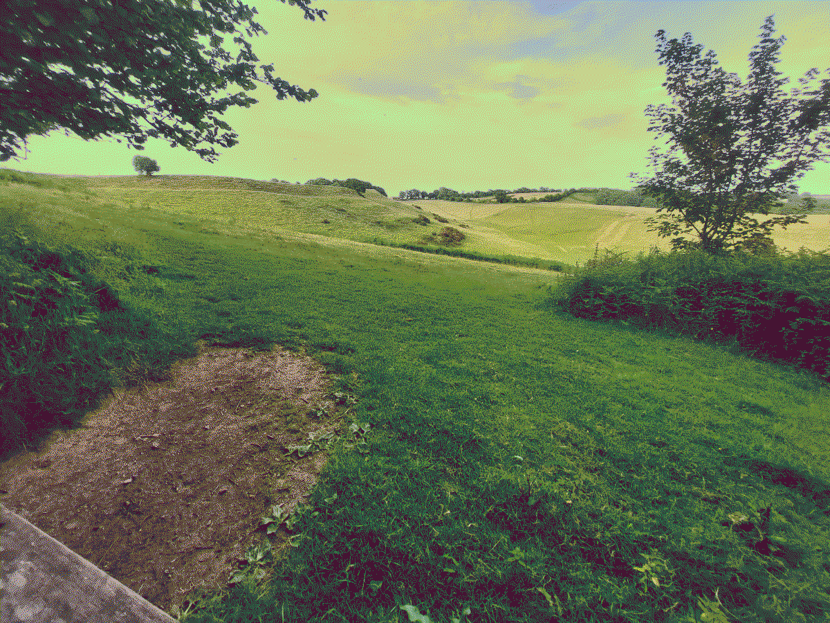 an open field rolls sleepily down away from you...