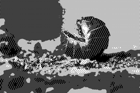 Image of a Pill-Bug dithered with https://app.dithermark.com/ using Zigzag Vertical 16 x 16